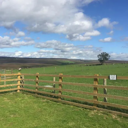 Bonnie View Glamping Cabin Holiday home