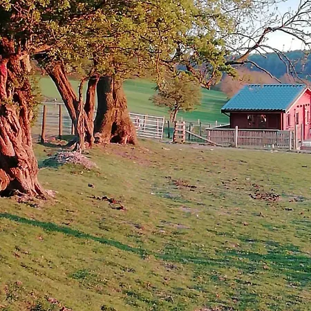 Ferienhaus Bonnie View Glamping Cabin